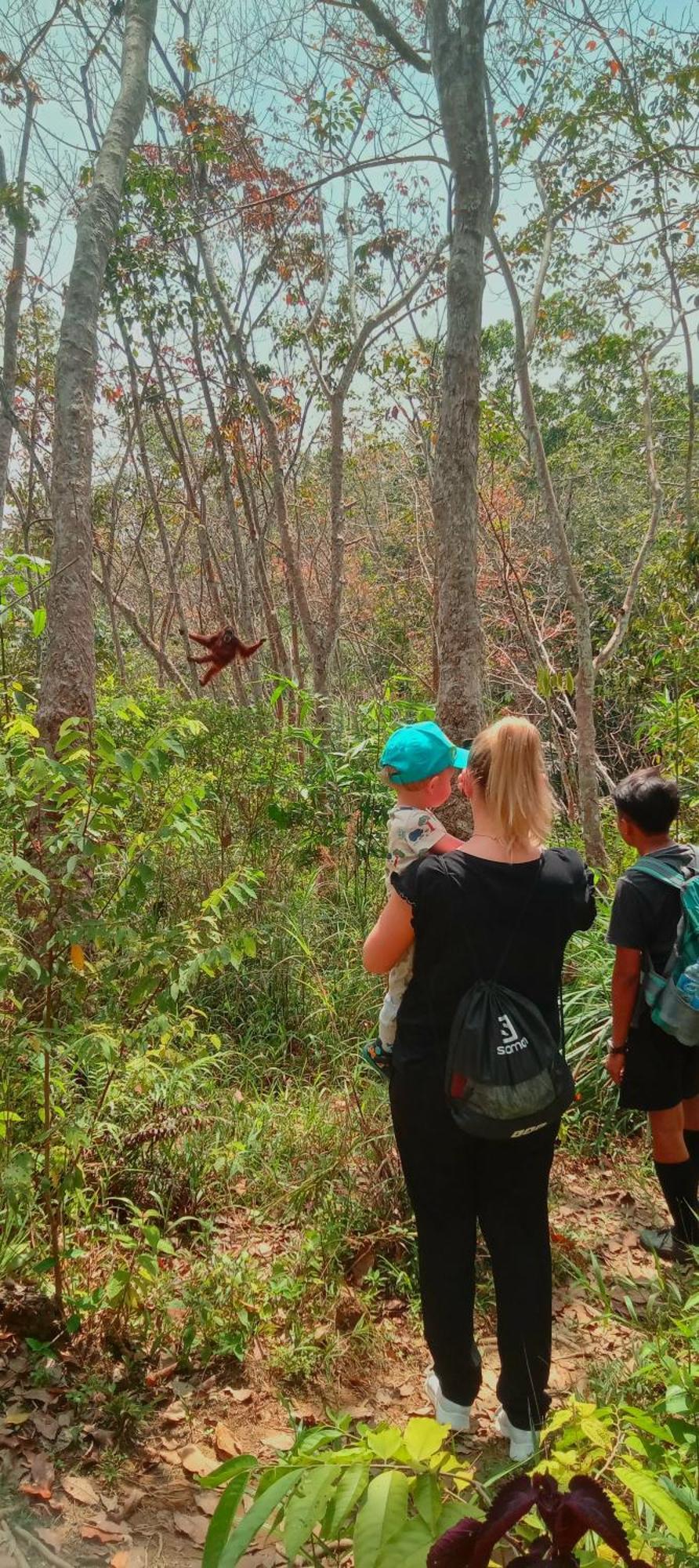 Eco Trekking Lodge, Bar & Jungle Tour'S Bukit Lawang Esterno foto