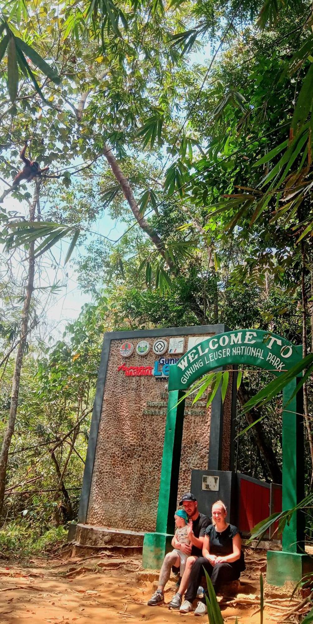 Eco Trekking Lodge, Bar & Jungle Tour'S Bukit Lawang Esterno foto