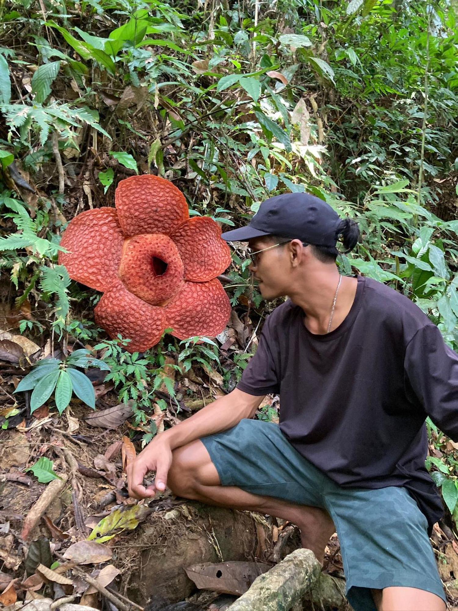 Eco Trekking Lodge, Bar & Jungle Tour'S Bukit Lawang Esterno foto