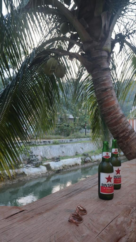 Eco Trekking Lodge, Bar & Jungle Tour'S Bukit Lawang Esterno foto