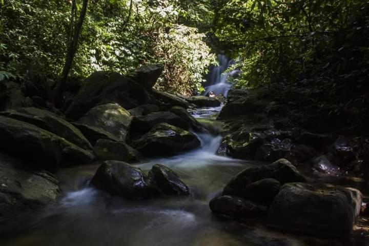 Eco Trekking Lodge, Bar & Jungle Tour'S Bukit Lawang Esterno foto