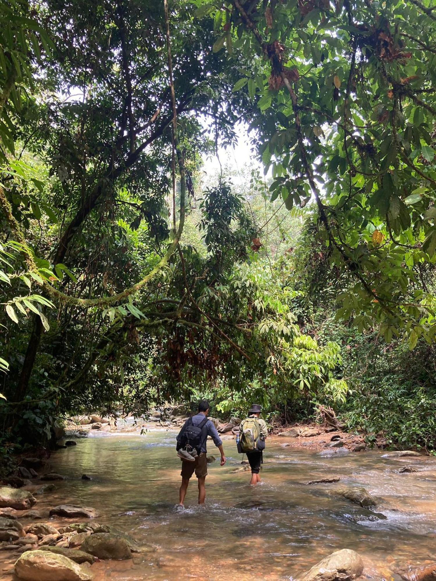 Eco Trekking Lodge, Bar & Jungle Tour'S Bukit Lawang Esterno foto