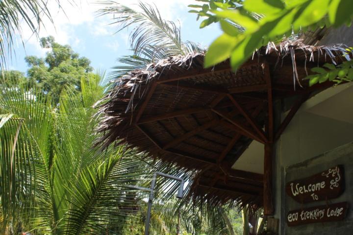 Eco Trekking Lodge, Bar & Jungle Tour'S Bukit Lawang Esterno foto