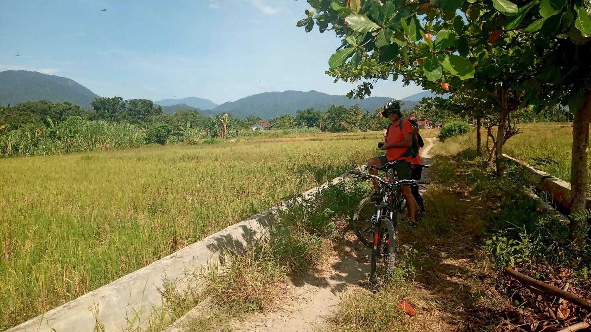 Eco Trekking Lodge, Bar & Jungle Tour'S Bukit Lawang Esterno foto